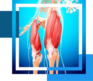 Refugio Malpica Gaona-Cuautitlán Izcalli